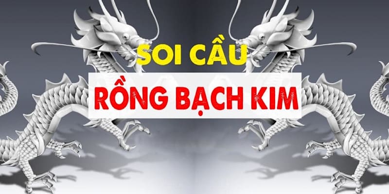 Bí kíp soi cầu rồng bạch kim chính xác