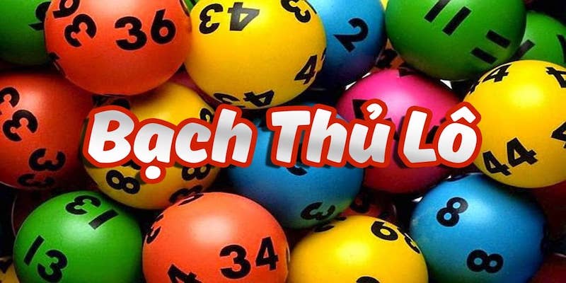 Bạch thủ lô có cách tính như thế nào?